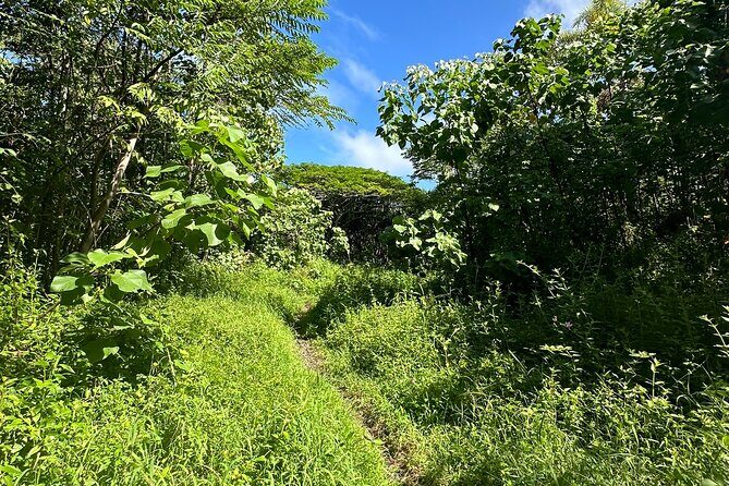 Secret Tide Pool Hike - Jungle & Coast - Private - Stop by Stop: What Each Part of the Day Gives You