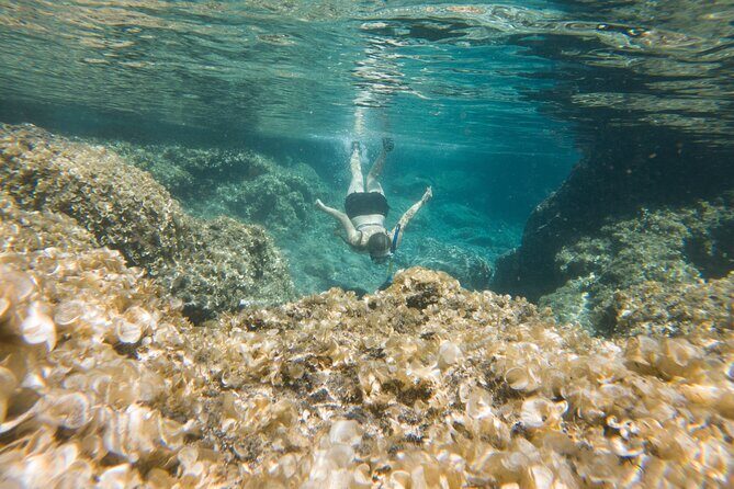 Secret Tide Pool Hike - Jungle & Coast - Private - Inside the Tide Pool: Infinity Feel, Real Creatures, Clear Water