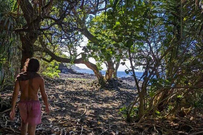 Secret Tide Pool Hike - Jungle & Coast - Private - Ocean Power and Tide Conditions: The Day Can Shift
