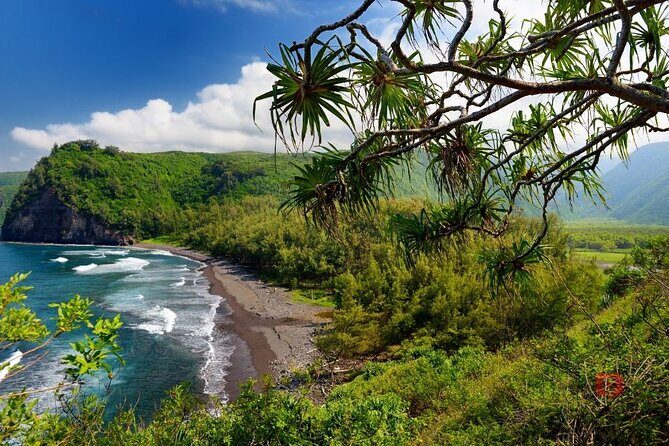 Self-Guided Audio Driving Tour in Big Island - Rainforest side: Akaka Falls, Honomu snacks, and the Hilo loop