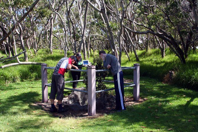 Small-Group Big Island Tour: Hawaii Volcanoes National Park and Kona Coffee Farm - Nahuku Thurston Lava Tube: walking through cooled heat