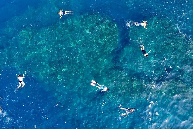 Small Group Snorkeling Expedition South Kona - Your Three Snorkel Stops: How Each One Fits Into the Day