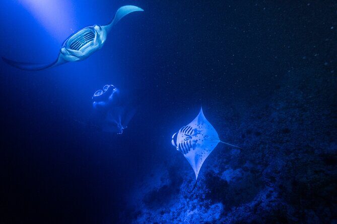 Snorkel With Giant Manta Rays In Kailua Kona - Stop 3: Kahaluu-Keauhou for more mantas (when the first spot needs help)