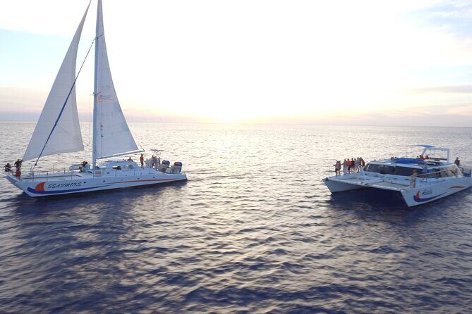 Sunset Cocktail Cruise on our Sailing Catamaran - Key things to know before you sail