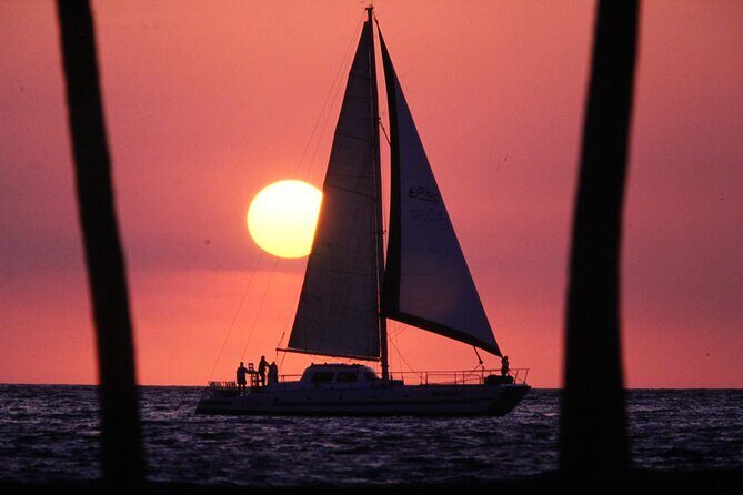 Sunset Cocktail Cruise on our Sailing Catamaran - Route and wildlife: Kohala Coast views can come with bonus sea life