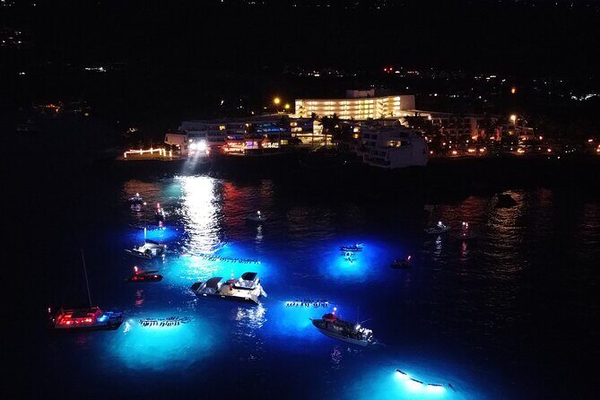 Sunset Cruise & Manta Night Snorkeling Charter - The science you’ll hear: lights, plankton, and feeding