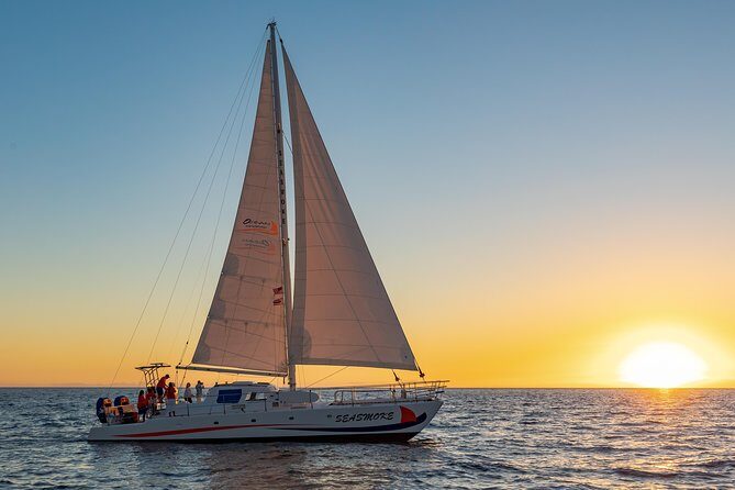 Sunset Cruise with the Whales on our Sailing Catamaran - Key things to know before you go