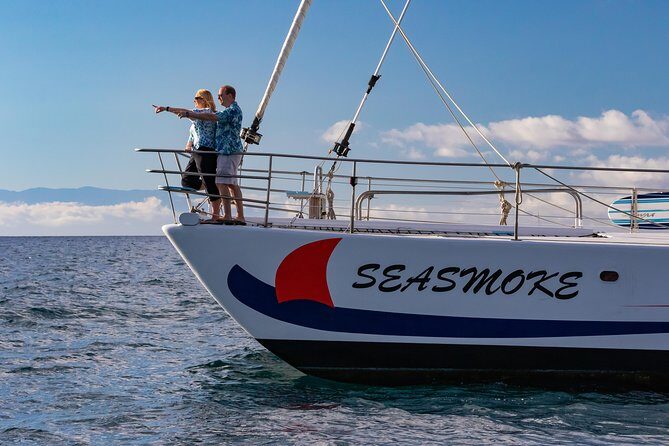 Sunset Cruise with the Whales on our Sailing Catamaran - Timing your evening: from departure to sunset moments