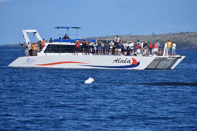Sunset Cruise with the Whales on our Sailing Catamaran - Where the cruise starts: Ocean Sports Beach Hut and Anaeho’omalu Bay