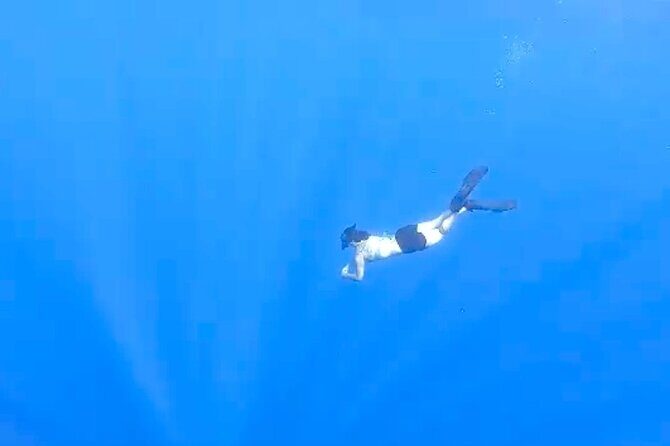 Tropical Reef & Wildlife Boat Snorkel Adventure - Who should book this Hilo reef and wildlife snorkel trip