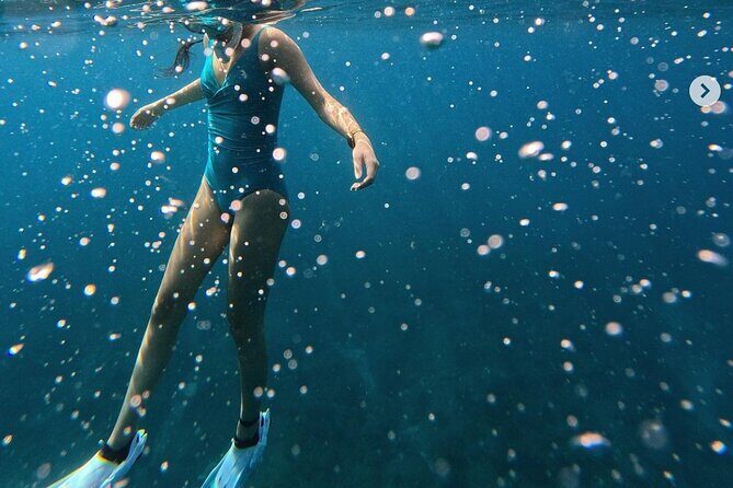 Tropical Reef & Wildlife Boat Snorkel Adventure - Reef coves and sand patches: how the guide’s plan shapes your time underwater