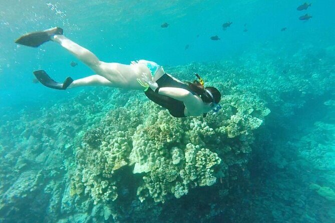 Two Reef Snorkel Trip-See Captain Cook Monument & Sea Caves - Stop 3: Pu’uhonua O Honaunau (Place of Refuge) and the Turtle Odds