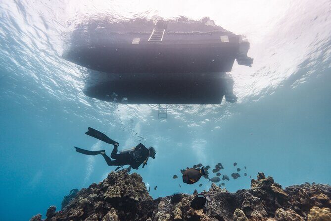 Two Tank Morning Reef Dive and Snorkel - Kona’s 8:00 am departure and the “two chances” rhythm