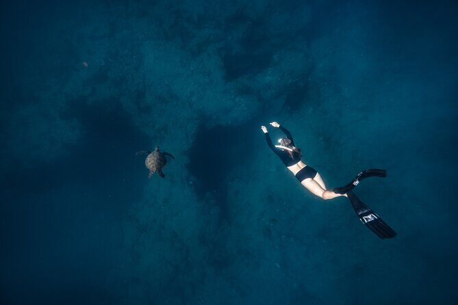 Two Tank Morning Reef Dive and Snorkel - The guide team: Mary, Calypso, Tara, and Marc’s different styles