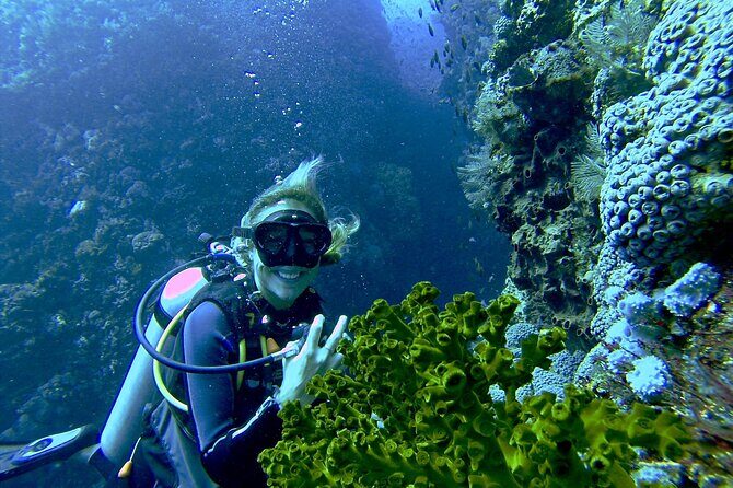 Two Tank Morning Scuba Dive - Meeting at Tiger Shark Deli by 8:00 and getting geared up