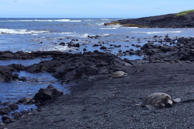 Ultimate Circle Island Explorer From Kona Or Kohala Resorts - Guides Make the Difference: Names I’d Watch For
