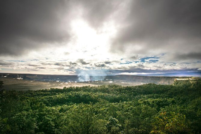 Ultimate Circle Island Explorer From Kona Or Kohala Resorts - Bay View Farm in Kona Coffee Country: More Than a Tasting