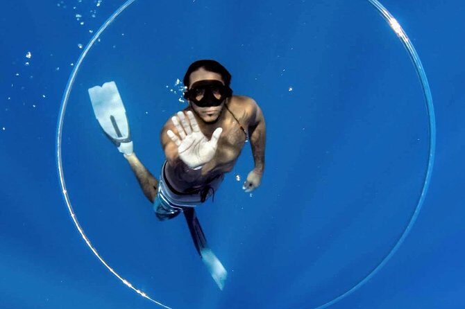 Ultimate Ocean Encounters Midday Snorkel - The crew: what strong guiding looks like in the water