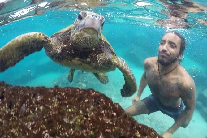 Ultimate Ocean Encounters Midday Snorkel - The cruise: your first chance at dolphins, turtles, and big ocean moments