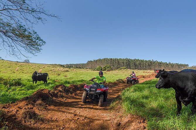 Umauma Falls Deluxe ATV Waterfall and Swim Experience - Price and value: what $224 gets you on the Big Island