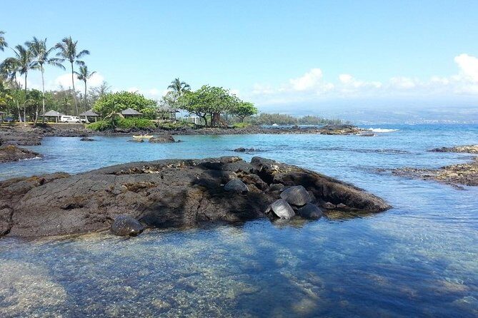Volcano Adventure Tour & Waterfall - Shore Excursion from Hilo Harbor - Lili‘uokalani Gardens: A Calm, Japanese-Style Break Without the Long Detour