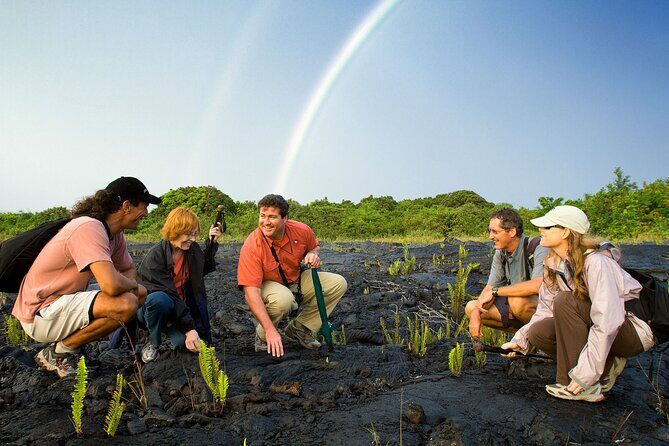 Volcano, Chocolate and Waterfalls of the Big Island - Hilo’s 1,000-Acre Chocolate and Tropical Fruit Farm (Tree to Chocolate)