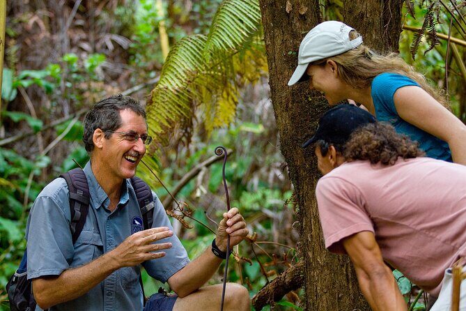 Volcano, Chocolate and Waterfalls of the Big Island - Tips to Make the Day Smoother (and More Comfortable)