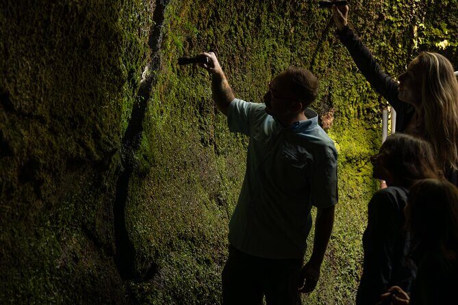 Volcano Explorer Tour - Food, drinks, and rain gear: what’s actually included