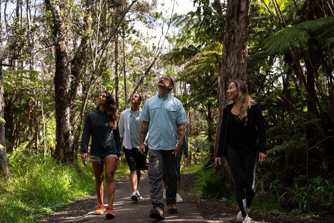 Volcano Explorer Tour - Hawaiʻi Volcanoes National Park: Kīlauea first, Nahuku lava tube second