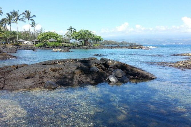 Volcanoes Adventure Tour from Hilo - Richardson Ocean Park: Black Sand and Sea Turtle Watching