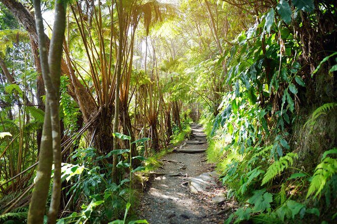 Volcanoes National Park: Guided, Small-Group Hike - Trail conditions and what the included gear actually helps with