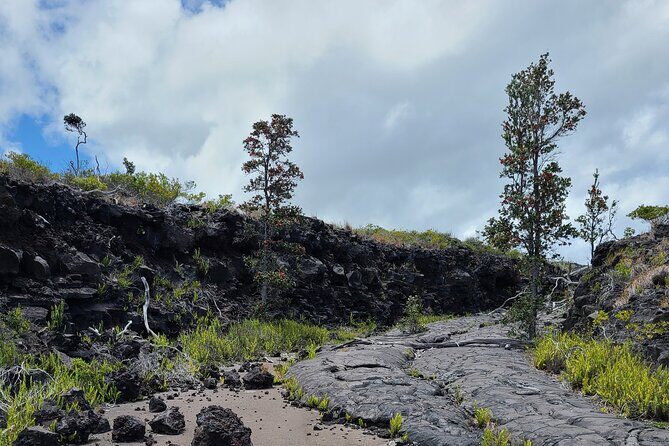 Volcanoes National Park Private Tour - What about active lava hikes?
