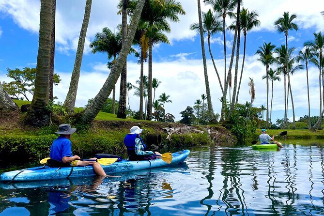 Wailoa River to King Kamehameha Statue Kayak Adventure - Wildlife on this route: turtles, birds, and fish sightings you’ll want to watch for