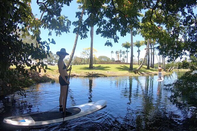 Wailoa River to King Kamehameha Statue SUP Adventure - Two Hours Up the Wailoa River: Why This Hilo SUP Feels Worth It