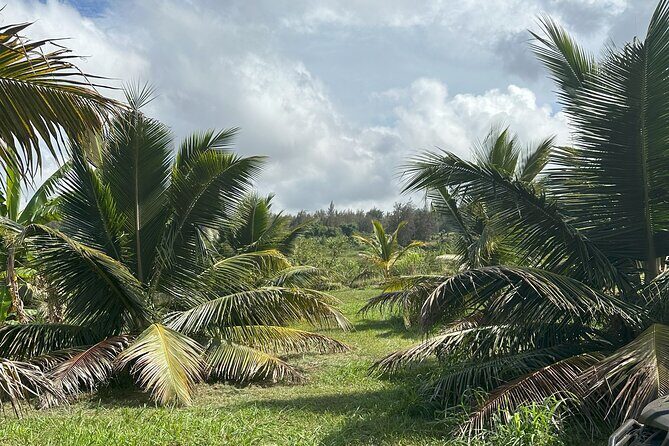 Waipi’o on Horseback: Mountain Ocean Views Working Cattle Ranch - Price and value: is $160 for 2 hours fair?