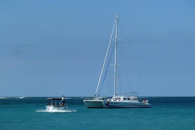 Wake Up With the Whales Cruise on Seasmoke - Hear the Whales Sing: The Underwater Hydrophone Moment