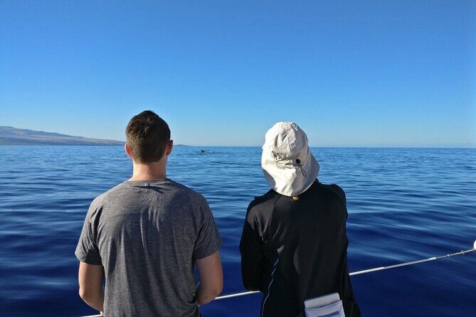 Wake Up With the Whales Cruise on Seasmoke - Included Refreshments: Drinks, Snacks, and Fewer Surprise Costs