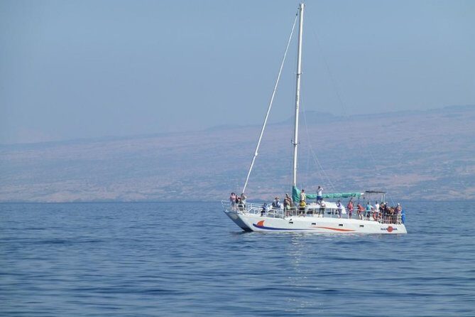 Wake Up With the Whales Cruise on Seasmoke - The Whale Guarantee: What It Really Means for Your Risk