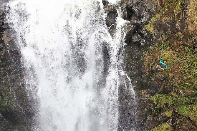 Waterfall Rappelling at Kulaniapia Falls: 120 Foot Drop, 15 Minutes from Hilo - Key Points at a Glance