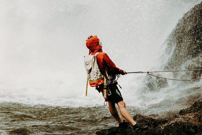 Waterfall Rappelling at Kulaniapia Falls: 120 Foot Drop, 15 Minutes from Hilo - How the Timing Usually Adds Up (Without the Guesswork)