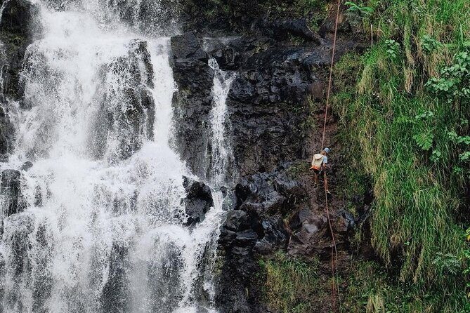 Waterfall Rappelling at Kulaniapia Falls: 120 Foot Drop, 15 Minutes from Hilo - Price, Tips, and the Real Cost of a Spectator Day