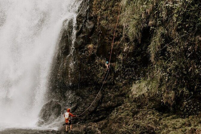 Waterfall Rappelling at Kulaniapia Falls: 120 Foot Drop, 15 Minutes from Hilo - Who Should Book This Rappel—and Who Might Think Twice