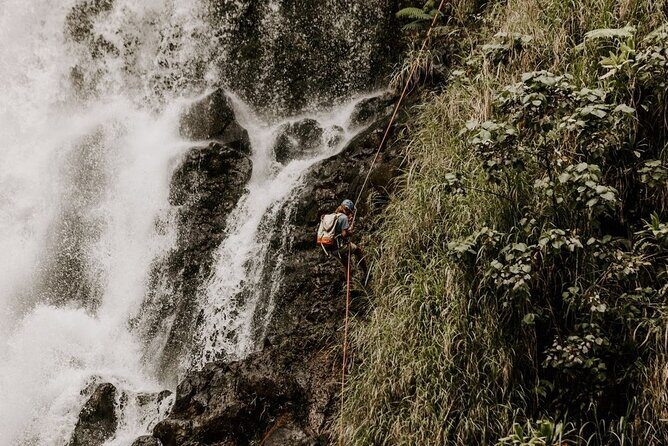 Waterfall Rappelling at Kulaniapia Falls: 120 Foot Drop, 15 Minutes from Hilo - The 120-Foot Rappel: What It Feels Like Up Close