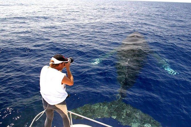 Whale Watch Excursion from the Big Island - Captain Lauren and naturalist Caroline: why the storytelling matters