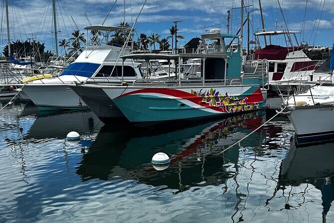 Whale Watching on Big island - How the Crew Finds Whales (And Why That Changes Everything)