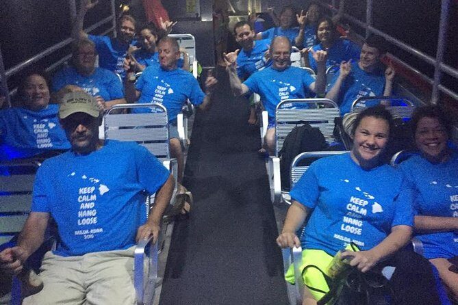 Whale Watching On The Big Island - Who this tour suits (and who should think twice)